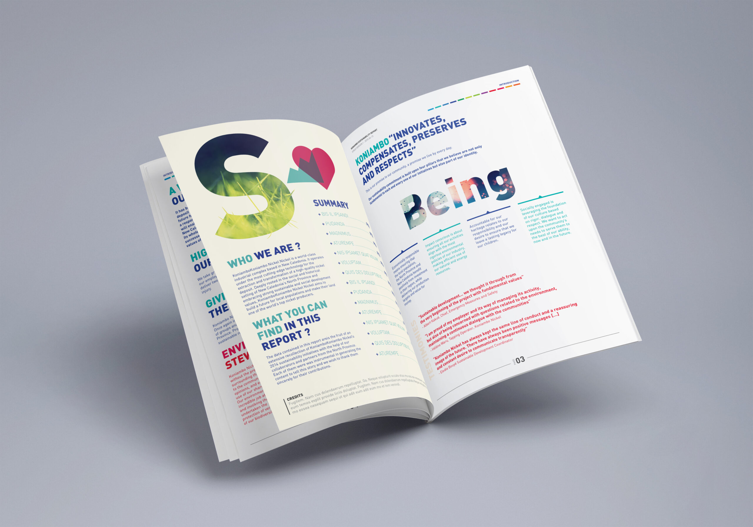 Koniambo-Nickel-SAS-Brochure-02