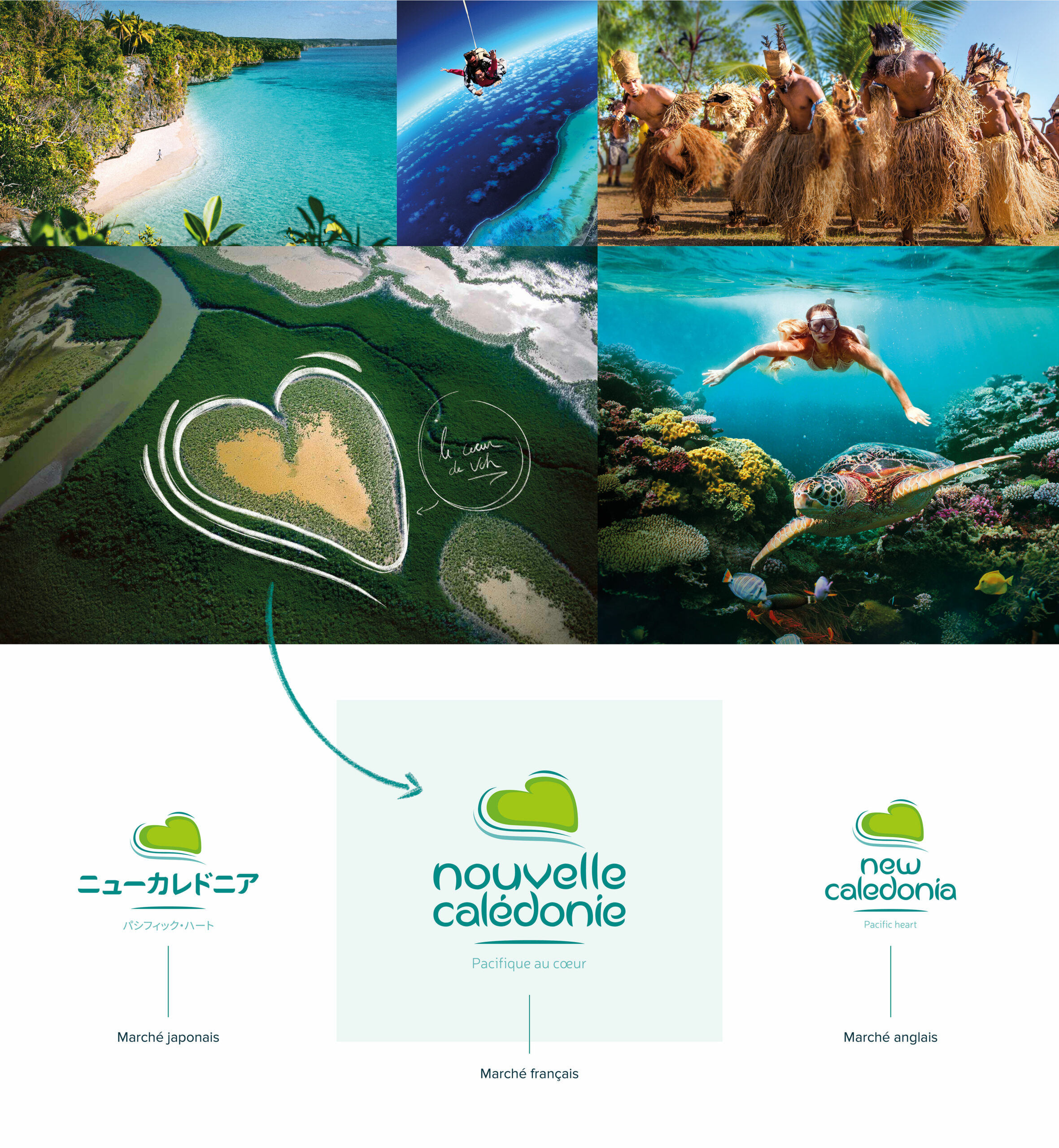 NCTPS-Identite-Visuelle-01