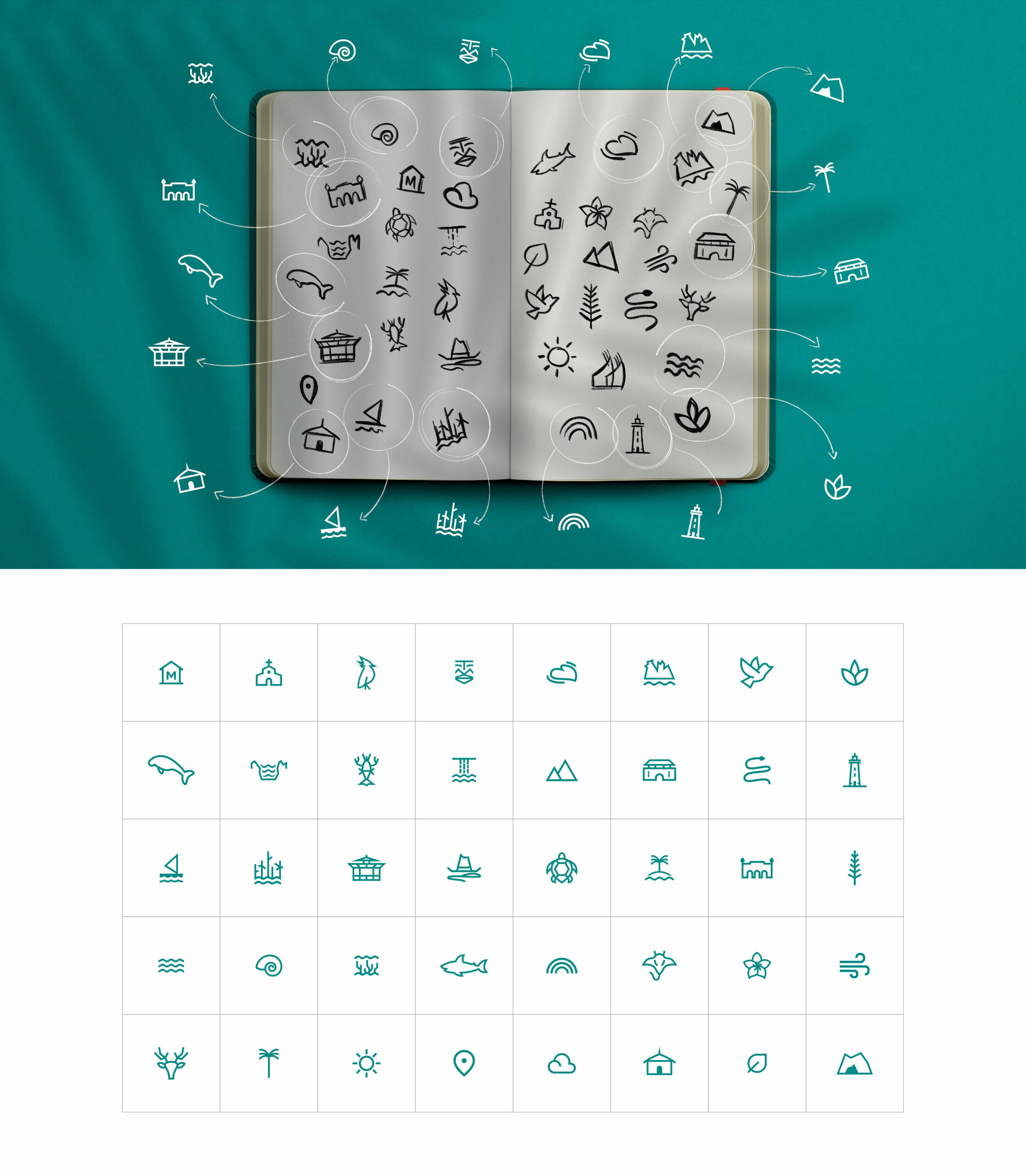 NCTPS-Identite-Visuelle-03