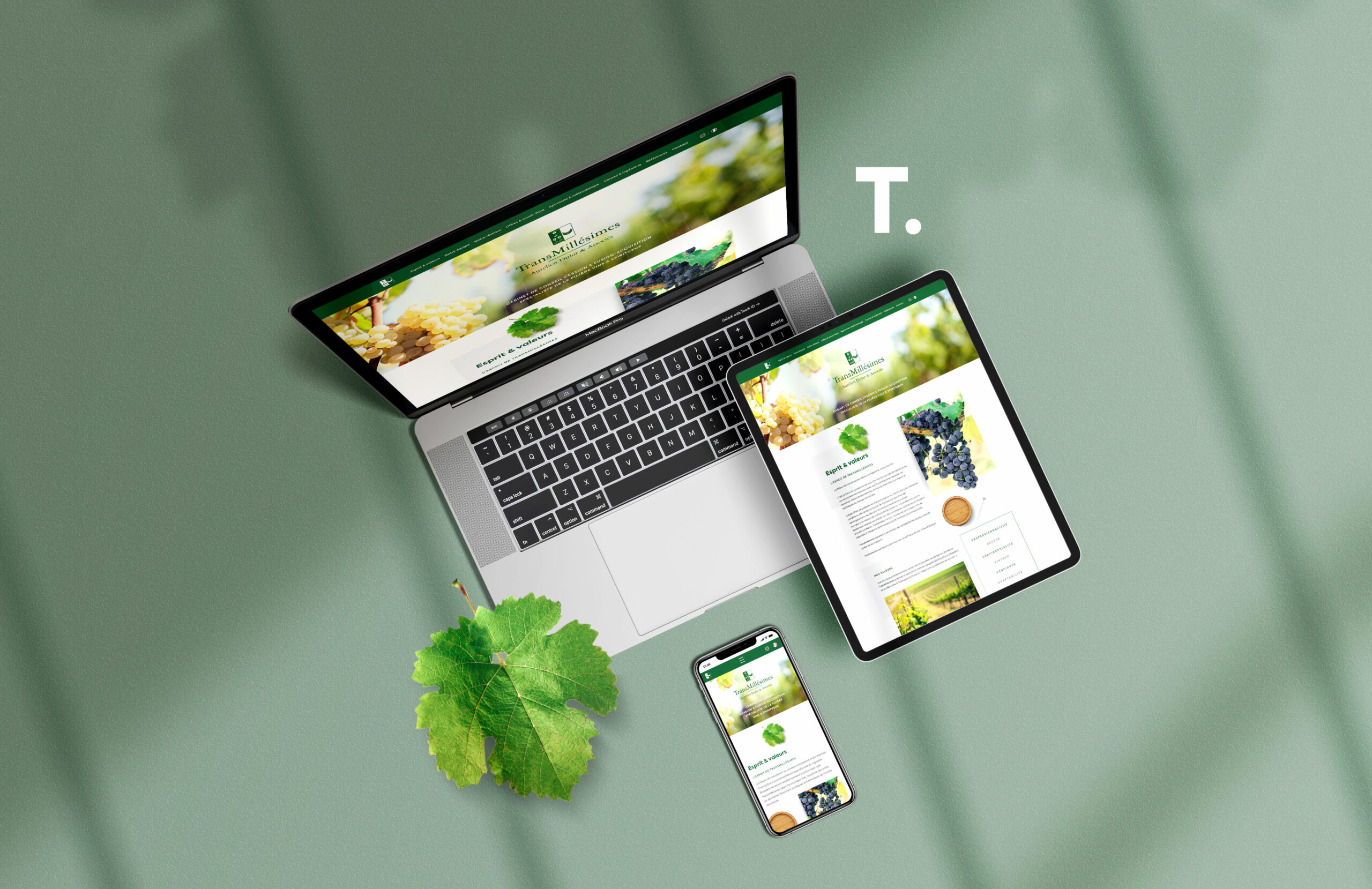 Transmillesimes-Site-Internet-01