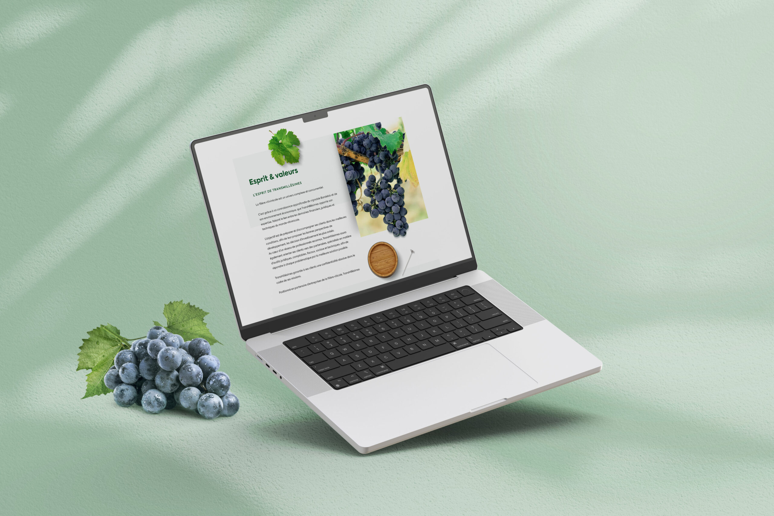 Transmillesimes-Site-Internet-03