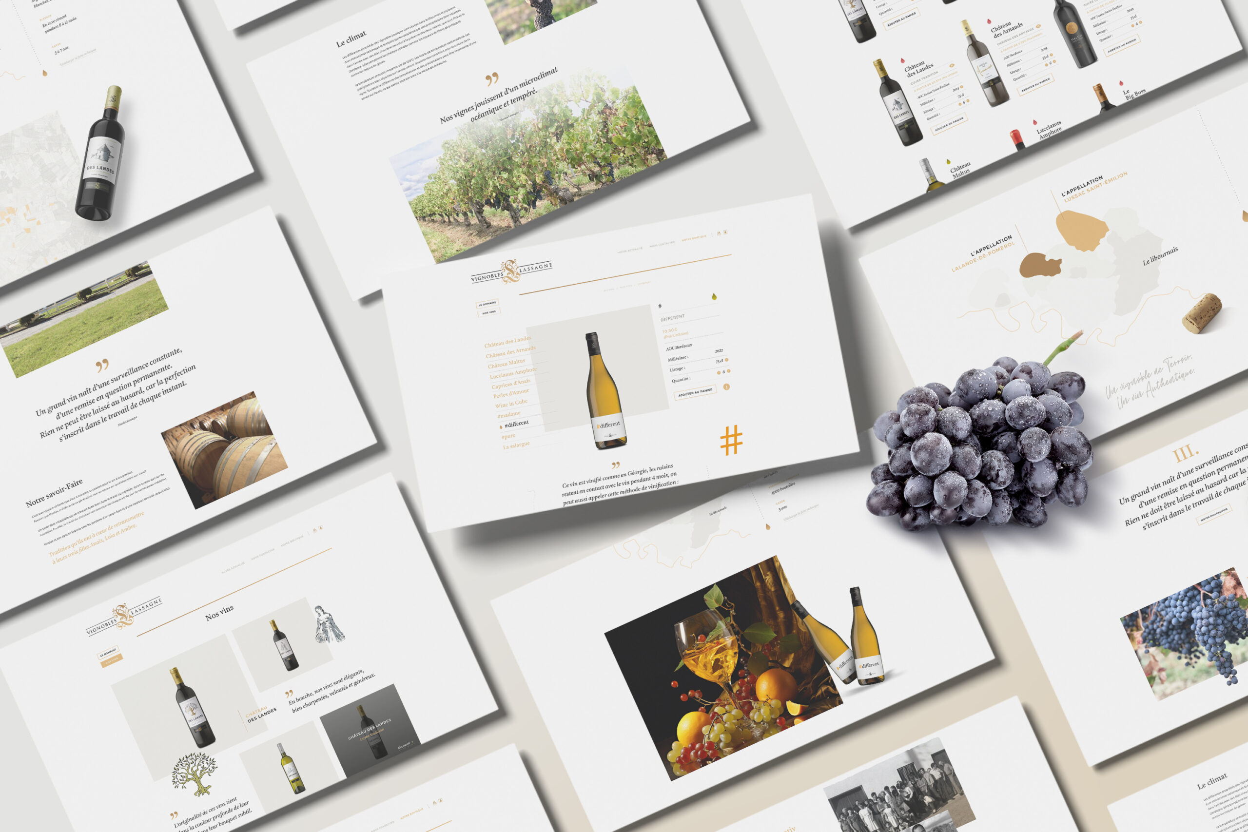 Vignobles-Lassagne-Site-Internet-04